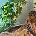 SLSON Reptile Plants Hanging Terrarium Plants with Suction Cup for Bearded Dragons,Lizards,Geckos,Snake Pets and Hermit Crab Tank Habitat Decorations,Small Size,12 inch