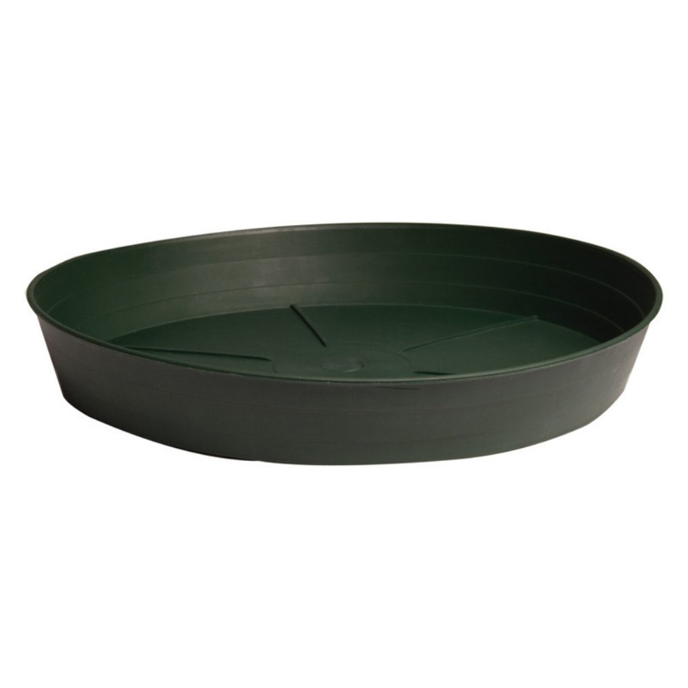Best Rated in Plant Saucers & Helpful Customer Reviews - Amazon.com Best Rated in Plant Saucers & Helpful Customer Reviews - Amazon.com