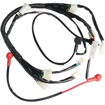 Amazon.com: Main Wire Harness Assembly ATV 110cc 125cc ... kazuma 4 wheeler wiring diagram 