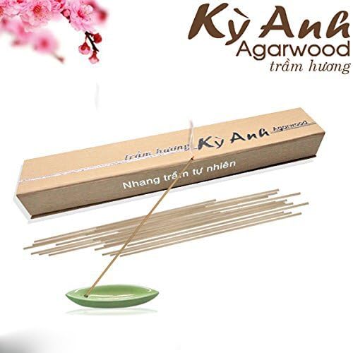 Vietnam agarwood incense sticks – Aligawood Aloeswood incense sticks - Premium Incense Sticks - Meditation japanese incense sticks - agarwood oudh incense sticks (Grade B, 20G)