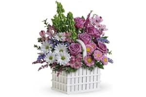 THE SHOPSTATION The Purple Basket - Same Day Sympathy Flowers Delivery - Sympathy Flower - Sympathy Gifts - Send Online Sympathy Plants & Flowers