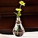 Stand Light Bulb Shape Glass Vase Flower Plant Container Pot Home Garden Decoration