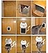 Cat Flap Lifepul 4 Ways Locking Cat Door (Large Size 9.8