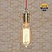 Edison light bulb – 6 Pack – The Capital - 40 Watt Bulb - Choose from many other designs. watt Inspired by Thomas Edison these incandescent filament style bulbs provide retro vintage light ambiance