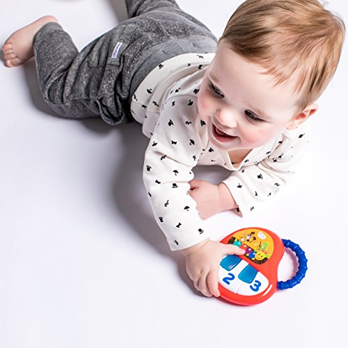 Baby Einstein Keys to Discover Piano Toy