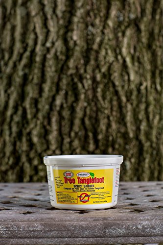 Tanglefoot Bundle 2 Products Tree Insect Barrier Tub + 8-Ounce Tangle-Trap Brush On Sticky Trap Coating - Thumbnail 4