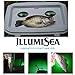 Just Released 25w 3,450 Lumen 12v Green Underwater LED Fishing Light - Most Powerful & Innovative Compact Designed Mini BriteBite by IllumiSea - Catch More Shrimp, Bait, and Fish in Fresh & Saltwater