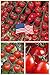 Sweet Million Cherry Tomato (Organic) Tomato 150 Seeds Upc 643451295290 primary