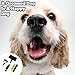 FurBuddy Pet Grooming Brush Kit for Any Type of Dog or Cat - All in One Kit Eliminates Mats & Hairballs
