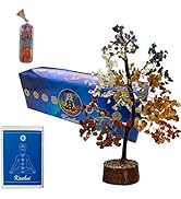 KACHVI Meditation Accessories Spiritual Decor Healing Stones Tree Seven Chakra Tree Bonsai Money ...