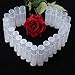 ReNext 50 Pcs Transparent Clear Empty Lip Balm Tubes Containers