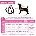 WINSEE Dog Harness No Pull, Pet Harnesses with Dog Collar, Adjustable Reflective Oxford Outdoor Vest, Front/Back Leash Clips for Small, Medium, Large, Extra Large Dogs, Easy Control Handle for Walking