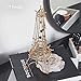 Beautify Metal Jewelry Hanger Organizer Display Tower, Tree Stand Jewelry Holder for Earrings Necklaces and Bracelets, 17 Hook Storage - Eiffel Tower Jewelry Organizer