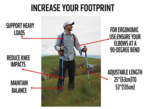 telescopic hiking pole