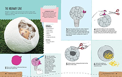 image for Firefly Books Homemade for Hamsters: Over 20 Fun Projects Anyone Can M