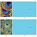 The Best Card Company - Boxed Set of 10 Bird Thank You Notecards with Envelopes 4 x 5.12 inch, Feathered Animal Gratitude - Fancy Feathers M3003