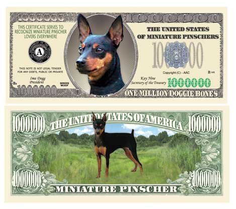 Set of 50 - Miniature Pinscher Dog Million Dollar Bill