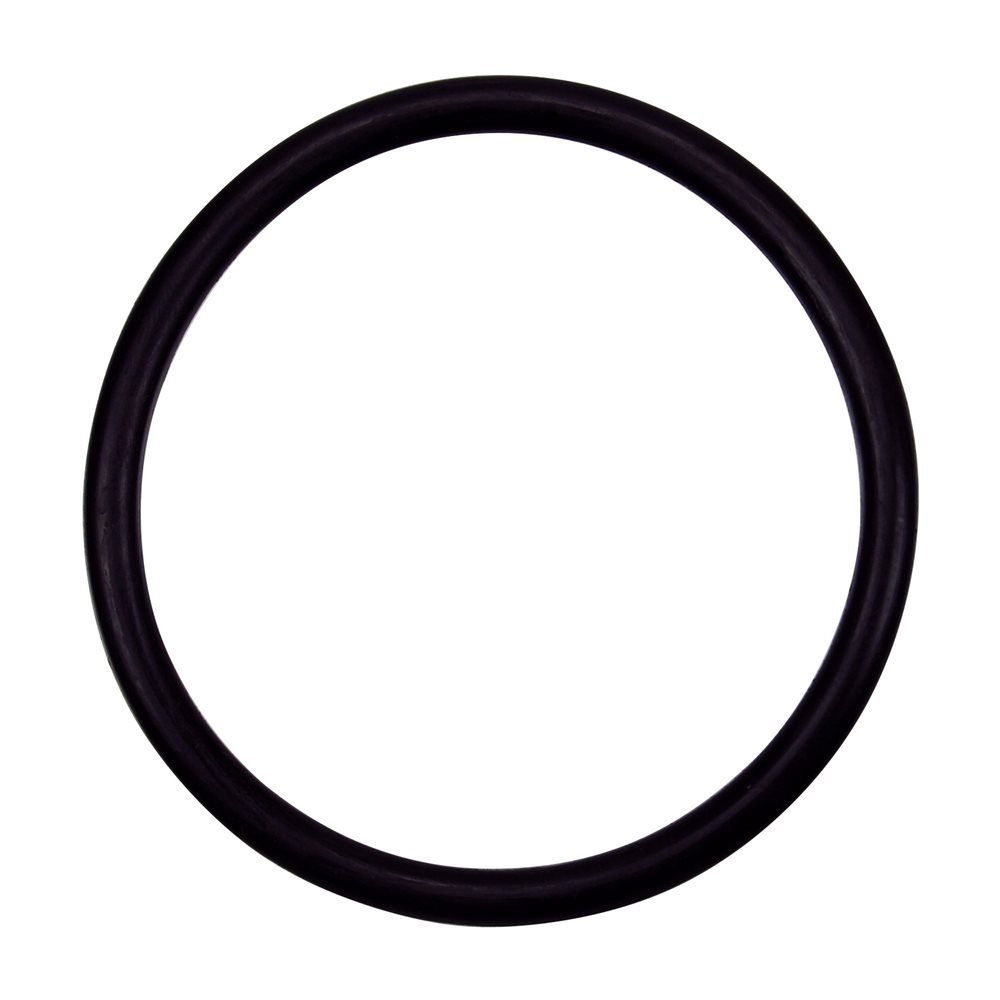 Photo 1 of Pentair 154492 2-Inch Bulkhead O-Ring Replacement Pool and Spa Sand Filter