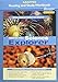 PRENTICE HALL SCIENCE EXPLORER CHEMICAL INTERACTIONS ADAPTED READING AND STUDY WORKBOOK