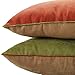 DOZZZ Set of 2 Premium Hypoallergenic Stuffer Pillow Insert Sham Square Form Cushion Polyester, 18