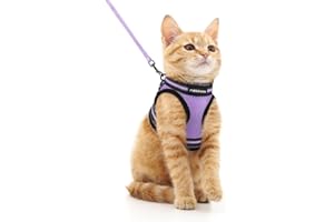 rabbitgoo Cat Harness and Leash Set for Walking Escape Proof, Adjustable Soft Kittens Vest with Reflective Strip for Cats, Comfortable Outdoor Vest, Light Purple, M