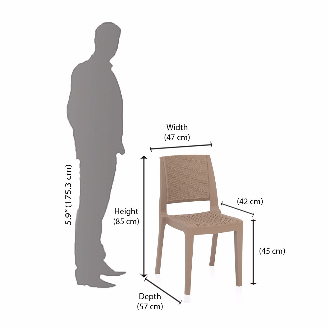 Nilkamal Enamora Chair Set Of 2 Dark Beige Amazon In