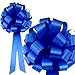 Royal Blue Pull Bows with Tails - 8