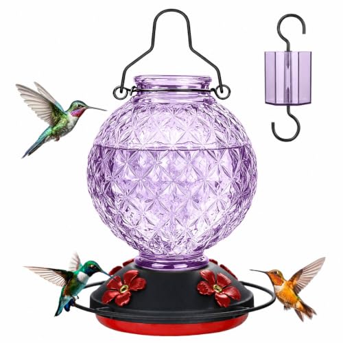 Tegarbed Glass Hummingbird Feeder