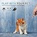 FYNIGO Cat Toys Teaser Wand,Interactive Toys for Cats and Dogs,Once Press Switch Design(2 Pack)