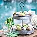 Sam's West Galvanized 2-Tier Serving Set