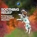Vet's Best Aspirin Free Aches + Pains Dog Supplement | Vet Formulated for Dog Pain Support and Joint Relief (100 ct (2 Pack))