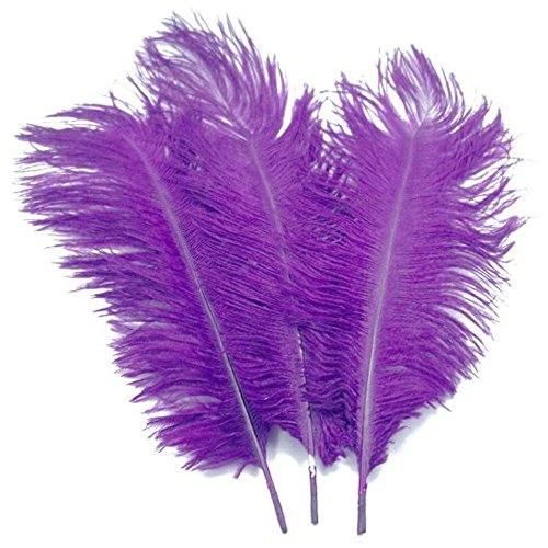 KOLIGHT 10pcs Ostrich Feather Purple 12"-14" Natural Feathers Wedding, Party,Home,Hairs Decoration