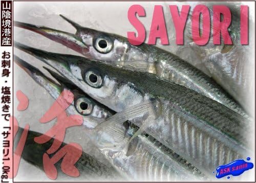 Amazon 活サヨリ大1 Ask Sanin 山陰境港 鮮魚 通販