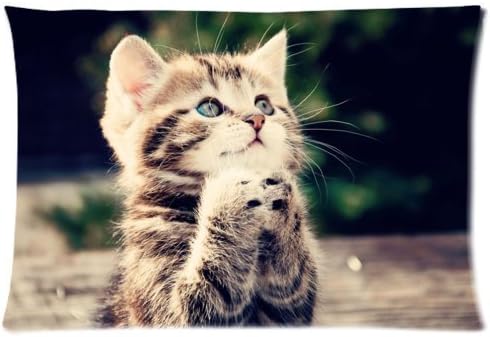 Cute Cat Zippered Polyester Pillow Cases Soft and Comfortable 12 x 20 Inches