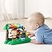 VTech Learn and Dance Interactive Zoo