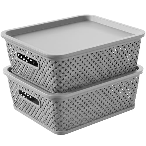 Photo 1 of MaxGear Organization and Storage, Plastic Bins Organizer Bins, Woven Basket for Storage, Plastic Baskets with Lid, Lidded Baskets for Organizing, Basket Organizer, Large, Grey, 2 Packs