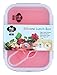 Kitchen Pro 101 Expandable and Collapsible Silicone School Lunch Box for Girls & Boys - 2 Compartment Bento Box Container for Kids/Adults - As Seen On TV (Red) - Comes with Utensil