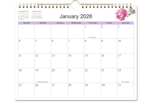 NOKINGO Calendar 2026-2027 - Wall Calendar Runs from Jan 2026 to Jun 2027-18 Monthly Calendar with Thick Paper for Planning and Organizing for Home or Office, Calender Planner, 8.5 x 11 In 2026 27 Calendars