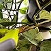 The Relaxed Gardener Gardening Scissors Set - Curved and Straight Titanium Coated Blade Micro Tip Pruning Shears - Super Sharp Trimmers for Plants with Anti-Rust Coating