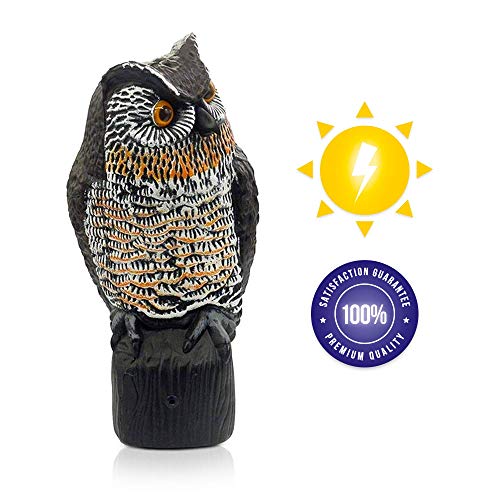 Lijo Solar Owl Animal Scarecrow Motion Activated Owl Decoy with Light