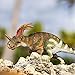 Safari Ltd. Styracosaurus Figurine - Detailed 8
