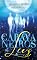 Livro Caravaneiros da Luz