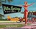 Palm Springs Holiday