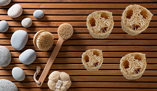 Natural Exfoliating Loofah Sponges | Natural Bath and Body Sponge, 4 Pack - Thumbnail 6