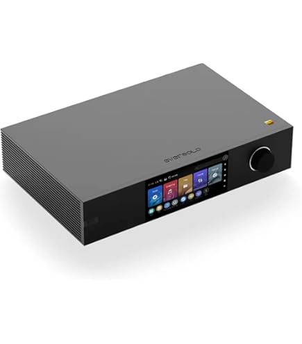 Eversolo F2 パワーアンプ レア 稀少 元箱 美品 Amazon.com: EVERSOLO AMP-F2 2 Channel Power Amplifier (Black