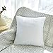 HIPPIH 18 x 18 Pillow Inserts Set of 2, Hypoallergenic Decorative Square Pillow Form Insert with Zips, White