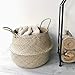 COCOBOO Natural Seagrass Belly Basket, Handmade, Soft Lightweight, Foldable, Storage Organizer Kitchen Bedroom Living Room Baby Nursery Room, Spacesaver (14 x 13 inches)