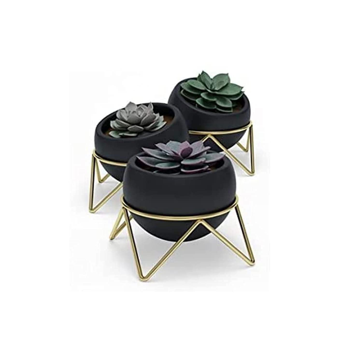 Umbra Potsy Planter
