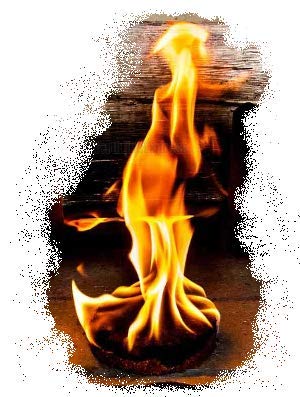 SUPER CEDAR FIRESTARTERS - 36 Count - Thumbnail 3