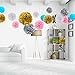 Blue 'N Blum Tissue Paper Pom Poms Decorations - Paper Flower - Party Decoration - Banner Happy Birthday for Party - Baby Shower - (12 pcs 12